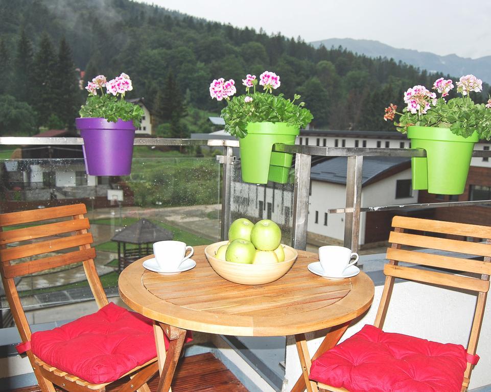 Maison Turquoise Sinaia Extérieur photo